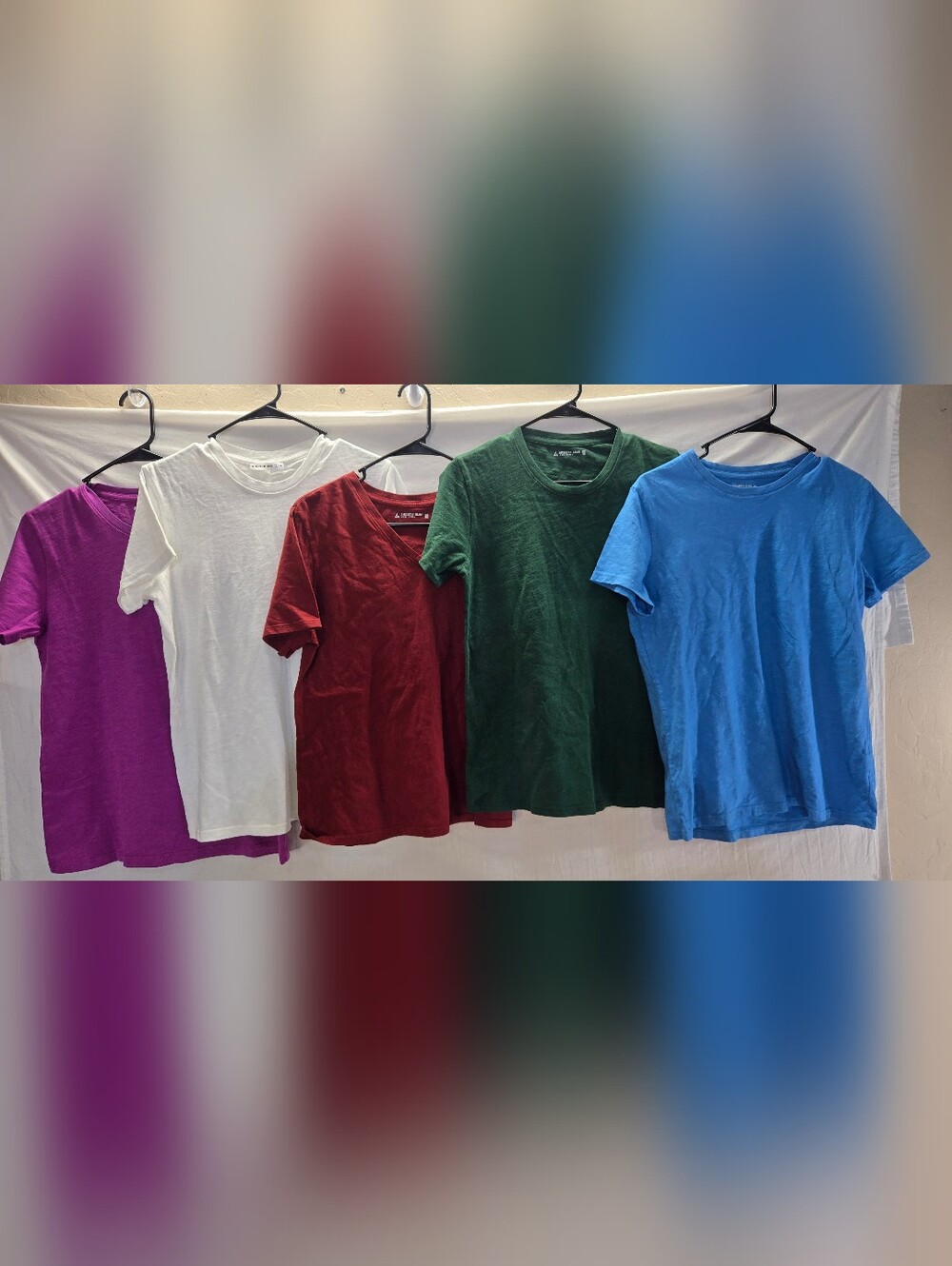 Lot of 5 American Giant Women's Size Medium Short Shirts NWOT